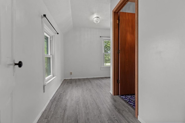 102 10th St, Clintonville, WI 54929 - bonus room featuring wood finished floors, plenty of natural light, and lofted ceiling