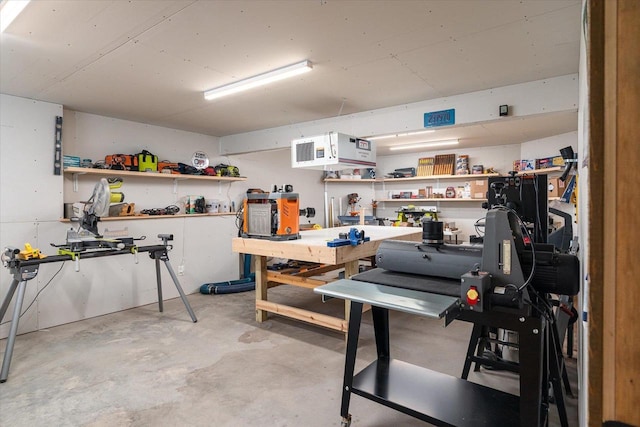 S3358 Hass Ln, Viroqua, WI 54618 - below grade area featuring a workshop area