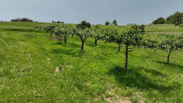 S3358 Hass Ln, Viroqua, WI 54618 - view of undeveloped land featuring rural landscape