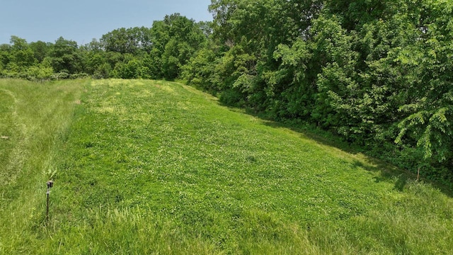 S3358 Hass Ln, Viroqua, WI 54618 - view of yard