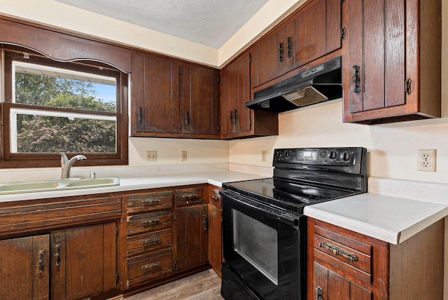 1517 Navarino St, Algoma, WI 54201 - kitchen with electric range, under cabinet range hood, light countertops, light wood-style floors, and dark brown cabinets