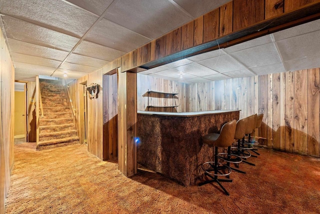 1517 Navarino St, Algoma, WI 54201 - indoor dry bar featuring carpet flooring, wooden walls, stairs, and a drop ceiling