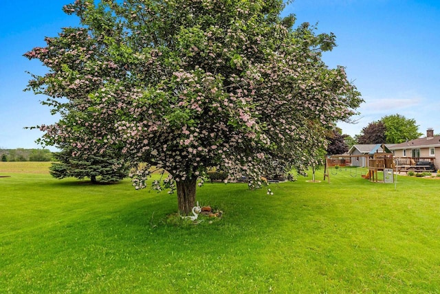 1517 Navarino St, Algoma, WI 54201 - view of grassy yard