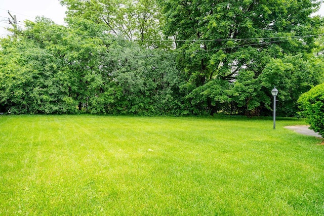 9600 W Debbie Ln, Milwaukee, WI 53224 - view of grassy yard