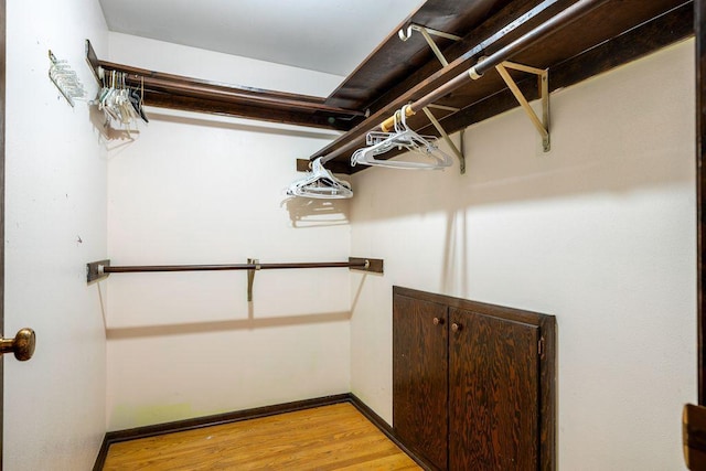 9600 W Debbie Ln, Milwaukee, WI 53224 - spacious closet featuring light wood-style floors