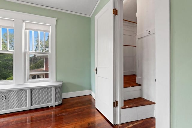 701 N 7th St, Manitowoc, WI 54220 - hallway with radiator heating unit, dark wood-style floors, and ornamental molding