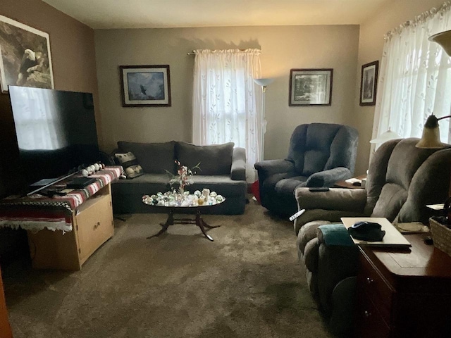 154 W Arndt St, Fond Du Lac, WI 54935 - living area with carpet flooring