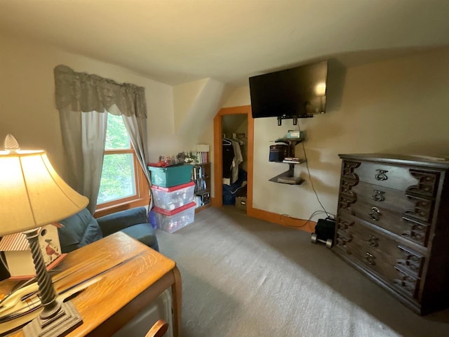 154 W Arndt St, Fond Du Lac, WI 54935 - carpeted bedroom with a walk in closet and a closet