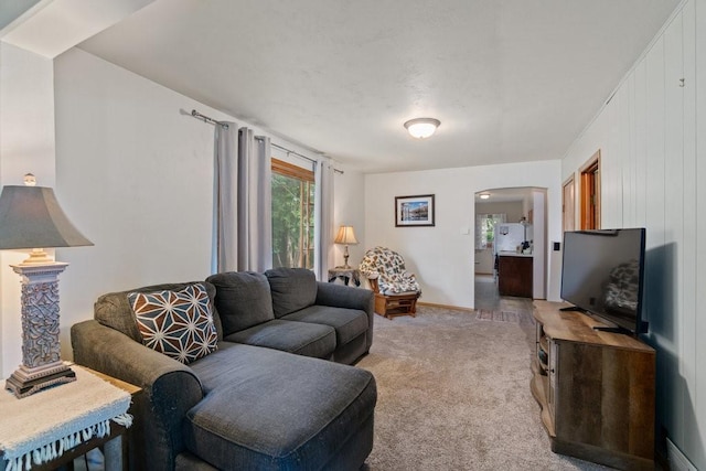 214 E Dell St, New Auburn, WI 54757 - living room featuring light carpet and arched walkways