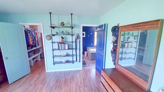 70355 Laine Rd, Iron River, WI 54847 - bedroom featuring wood finished floors, a walk in closet, and ensuite bath