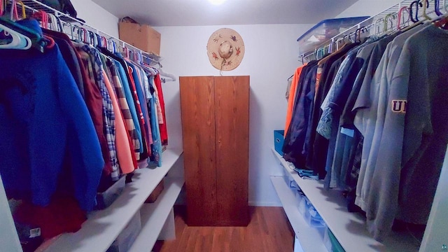 70355 Laine Rd, Iron River, WI 54847 - walk in closet with wood finished floors