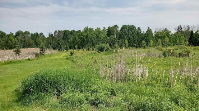 70355 Laine Rd, Iron River, WI 54847 - view of nature with rural landscape