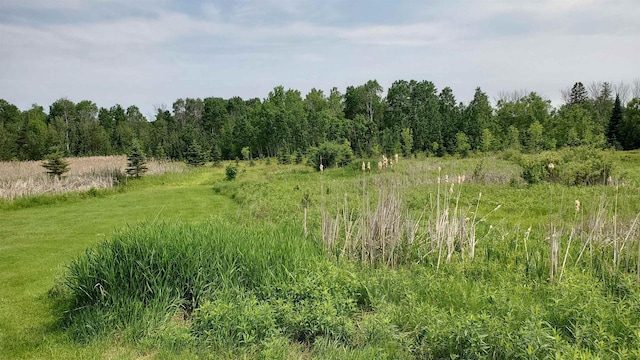 70355 Laine Rd, Iron River, WI 54847 - view of undeveloped land featuring rural landscape