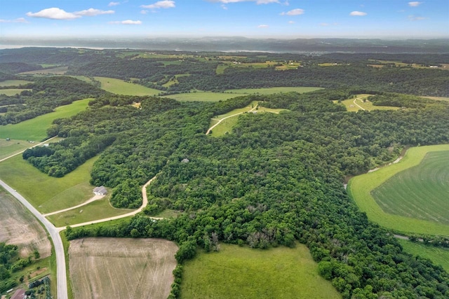 5794 N Dutch Hollow Rd, Potosi, WI 53820