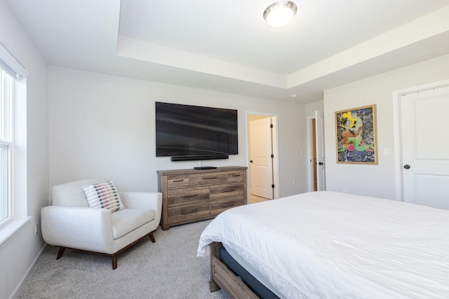 310 Paradise Ct, Hartland, WI 53029 - carpeted bedroom featuring a tray ceiling and baseboards