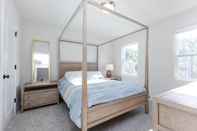 310 Paradise Ct, Hartland, WI 53029 - bedroom with carpet flooring