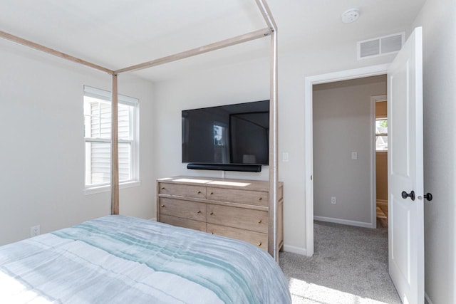 310 Paradise Ct, Hartland, WI 53029 - carpeted bedroom featuring multiple windows