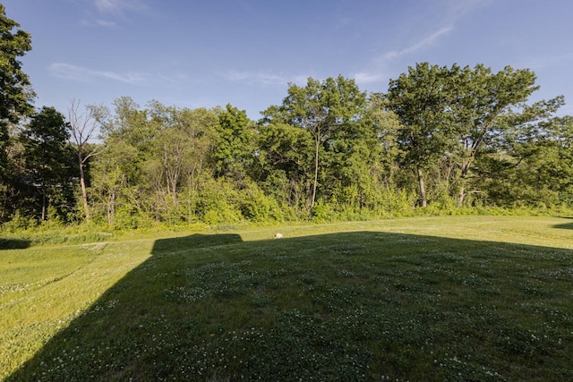 310 Paradise Ct, Hartland, WI 53029 - view of green lawn