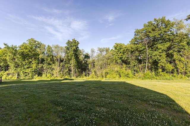 310 Paradise Ct, Hartland, WI 53029 - view of green lawn