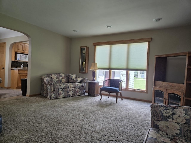131 Crestview Ln, Nekoosa, WI 54457 - carpeted living area with arched walkways and baseboards
