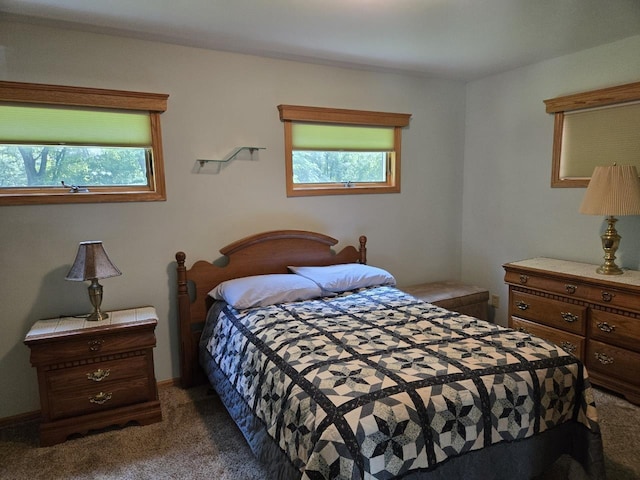 131 Crestview Ln, Nekoosa, WI 54457 - bedroom featuring carpet