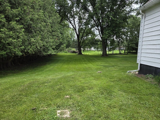 131 Crestview Ln, Nekoosa, WI 54457 - view of green lawn
