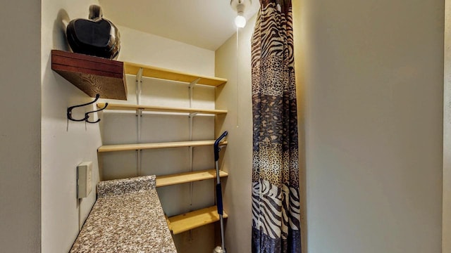 N2493 Kunz Rd, Fort Atkinson, WI 53538 - view of storage room