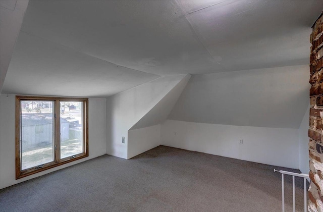 500 2nd Ave, Hollandale, WI 53544 - additional living space with carpet and lofted ceiling