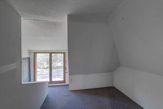 500 2nd Ave, Hollandale, WI 53544 - bonus room featuring lofted ceiling and carpet