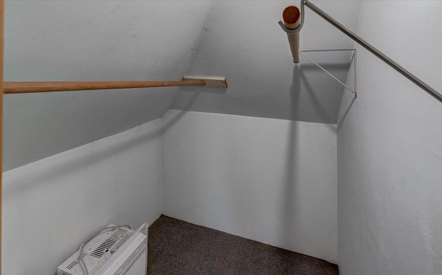 500 2nd Ave, Hollandale, WI 53544 - walk in closet featuring carpet floors