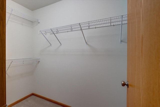 862 Stonefield Dr, Edgerton, WI 53534 - spacious closet featuring carpet flooring