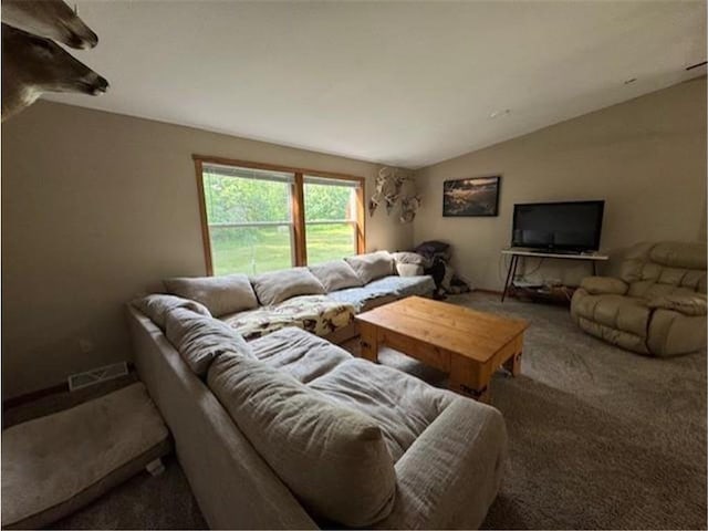2779 250th Ave, Saint Croix Falls, WI 54024 - living area featuring carpet flooring and lofted ceiling