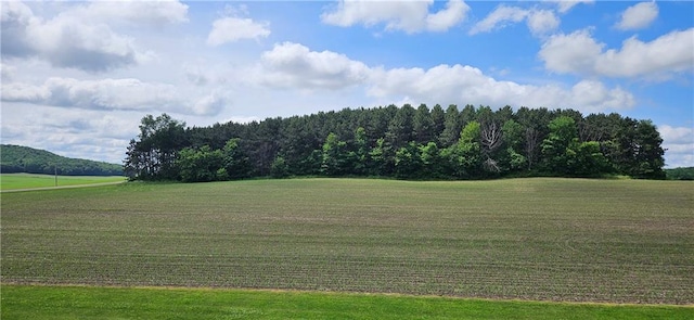 2931 148th Ave, Bloomer, WI 54724 - view of green lawn