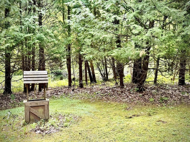 12830 Thunder Hollow Rd, Whitelaw, WI 54247 - view of yard with a forest view