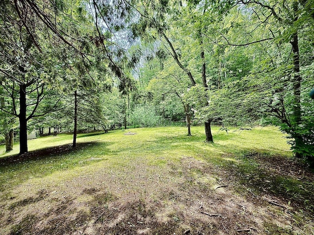 12830 Thunder Hollow Rd, Whitelaw, WI 54247 - view of grassy yard with a forest view