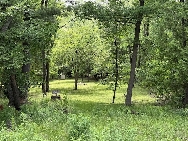 12830 Thunder Hollow Rd, Whitelaw, WI 54247 - view of woods