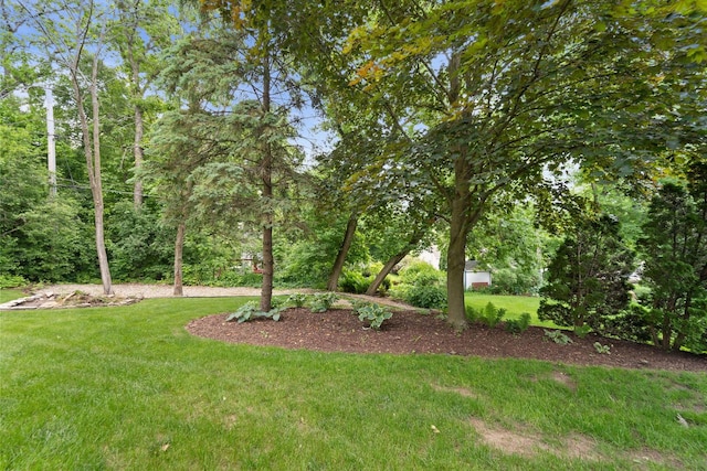 1060 Hawthorne Ln, Brookfield, WI 53005 - view of green lawn