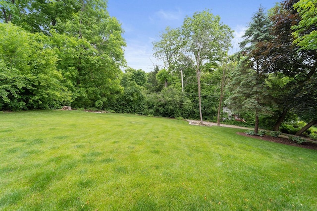 1060 Hawthorne Ln, Brookfield, WI 53005 - view of green lawn