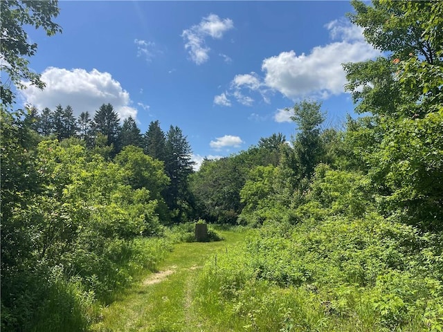 6782 55th St, Chippewa Falls, WI 54729 - view of woods