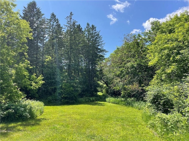 6782 55th St, Chippewa Falls, WI 54729 - view of green lawn with a view of trees