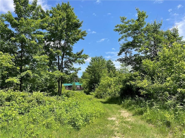 6782 55th St, Chippewa Falls, WI 54729 - view of yard with a forest view