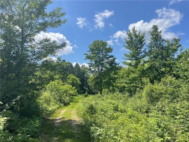 6782 55th St, Chippewa Falls, WI 54729 - view of wooded area