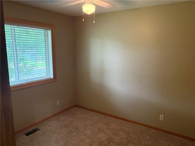 1430 5th Ave, Baldwin, WI 54002 - carpeted spare room with a ceiling fan and baseboards