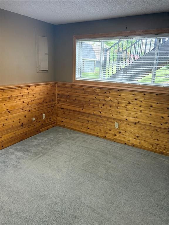 1430 5th Ave, Baldwin, WI 54002 - unfurnished room featuring carpet flooring, wainscoting, electric panel, a textured ceiling, and wooden walls