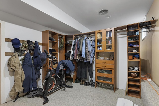 210 N 2nd St, Palmyra, WI 53156 - walk in closet with carpet floors