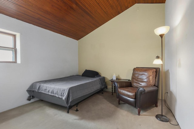 210 N 2nd St, Palmyra, WI 53156 - carpeted bedroom featuring vaulted ceiling and wood ceiling