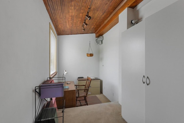 210 N 2nd St, Palmyra, WI 53156 - office space featuring wood ceiling, rail lighting, and carpet flooring