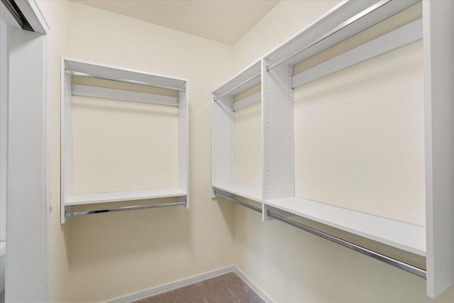 5196 Sassafras Dr Unit 313, Fitchburg, WI 53711 - view of walk in closet