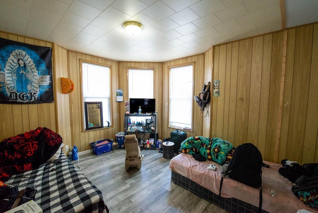 2110 54th St, Kenosha, WI 53140 - living area featuring wood finished floors and wood walls