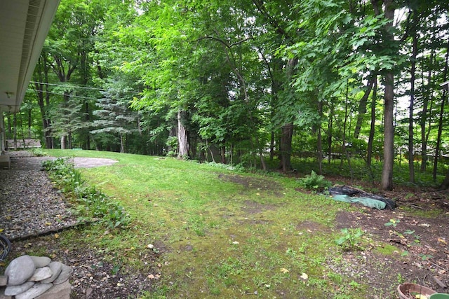 3333 N 12th St, Wausau, WI 54403 - view of grassy yard with a view of trees